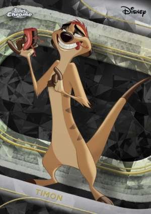Timon