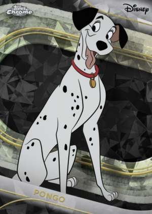 Pongo