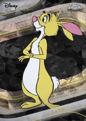 Rabbit