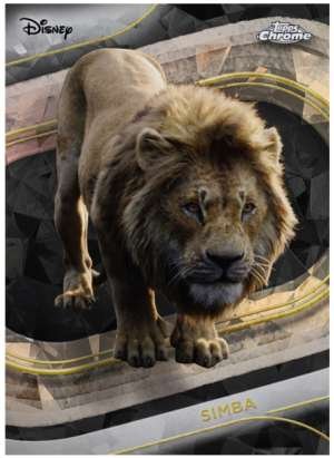 Simba (Live Action)