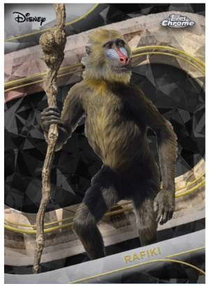 Rafiki (Live Action)