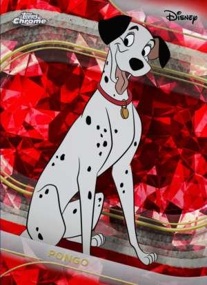 Pongo