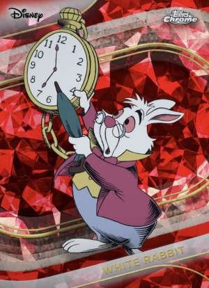 The White Rabbit