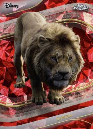 Simba (Live Action)