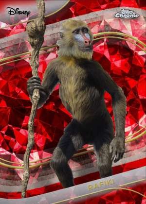 Rafiki (Live Action)