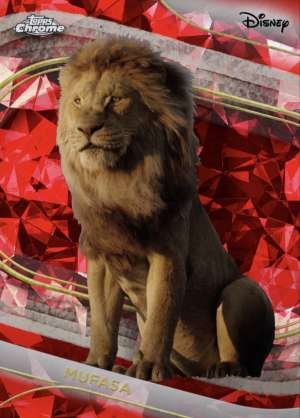Mufasa (Live Action)