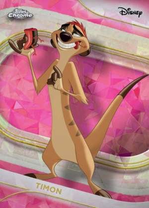 Timon