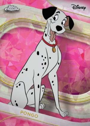 Pongo