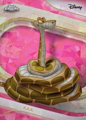 Kaa