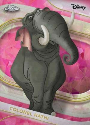 Colonel Hathi