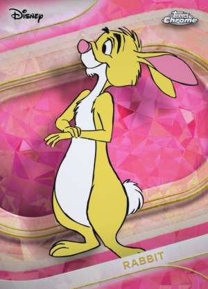 Rabbit