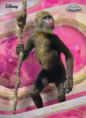 Rafiki (Live Action)