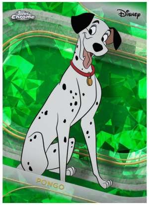 Pongo