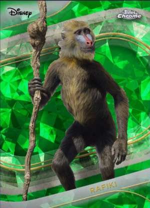Rafiki (Live Action)