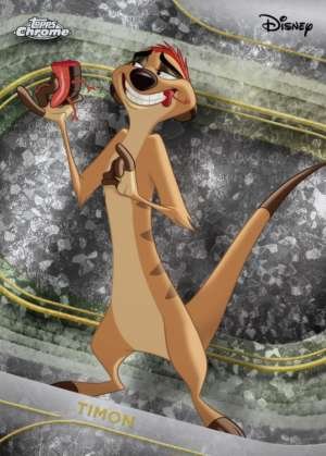 Timon