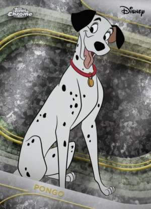 Pongo
