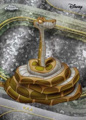 Kaa