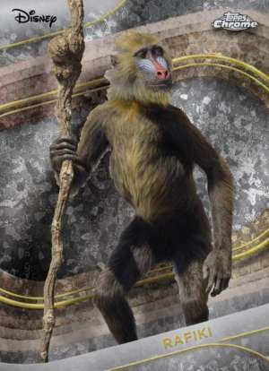 Rafiki (Live Action)