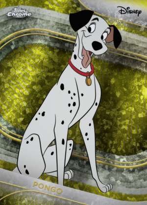 Pongo