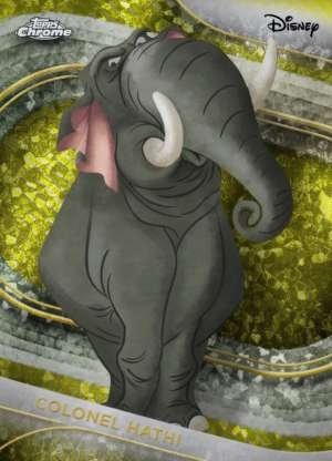 Colonel Hathi