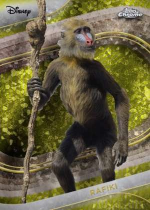 Rafiki (Live Action)
