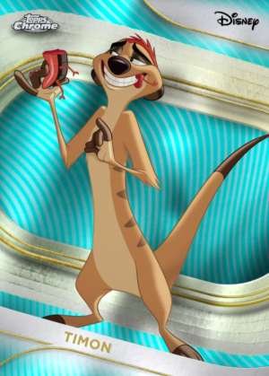 Timon