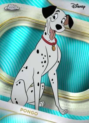 Pongo