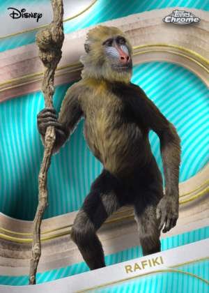 Rafiki (Live Action)