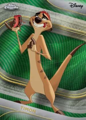 Timon