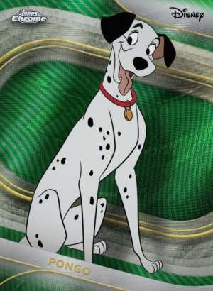 Pongo