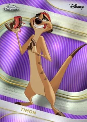 Timon