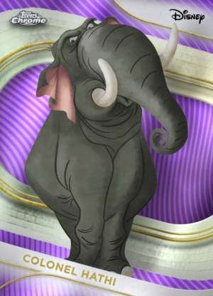 Colonel Hathi