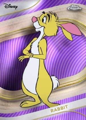 Rabbit