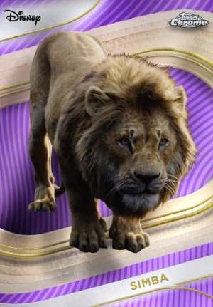 Simba (Live Action)