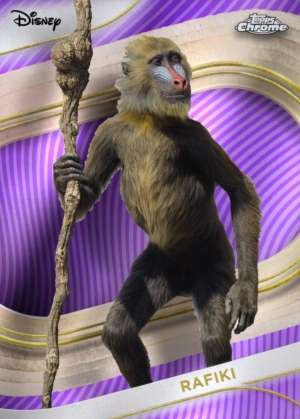Rafiki (Live Action)