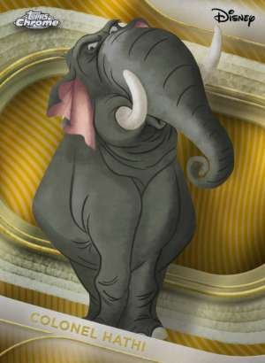 Colonel Hathi