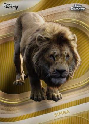 Simba (Live Action)