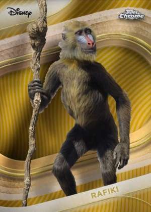 Rafiki (Live Action)