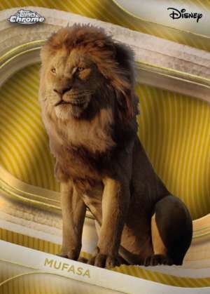 Mufasa (Live Action)