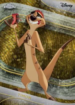 Timon