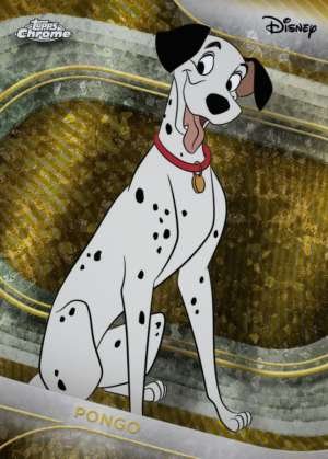 Pongo