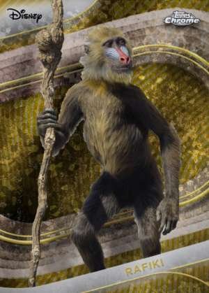 Rafiki (Live Action)