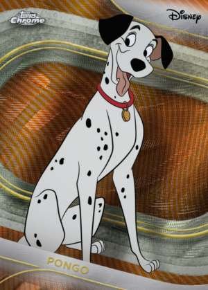 Pongo