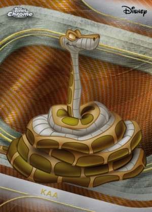 Kaa