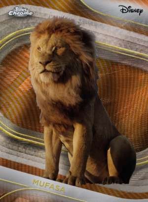 Mufasa (Live Action)