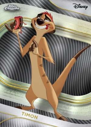 Timon