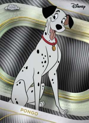 Pongo