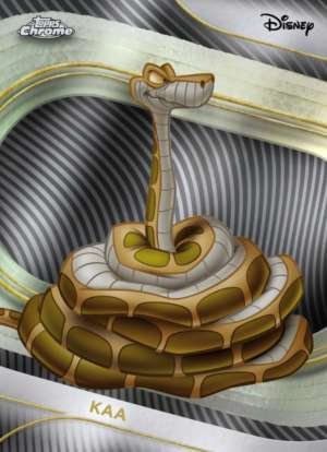 Kaa