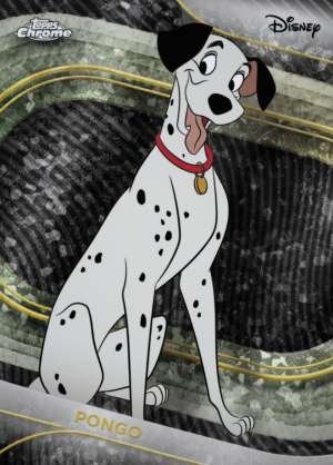 Pongo