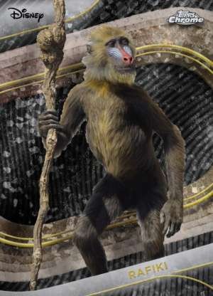 Rafiki (Live Action)